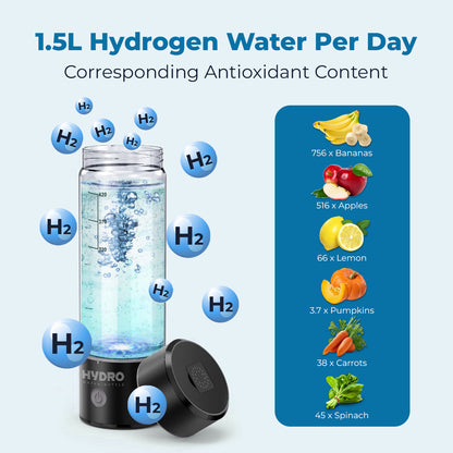 Hydrogen Water Bottle 2.0